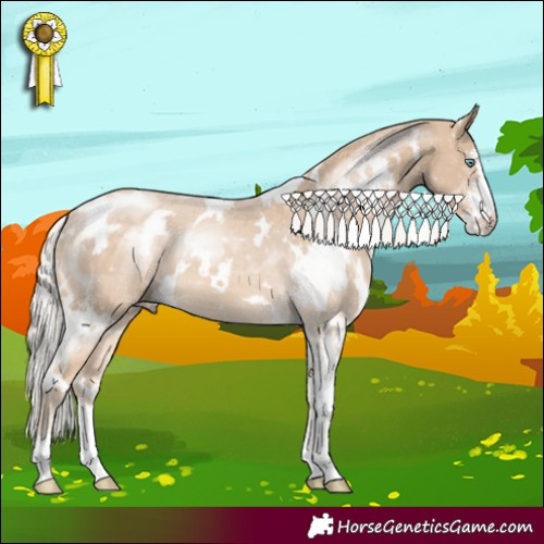 Horse Color:White Spotted Silver Perlino Sabino 