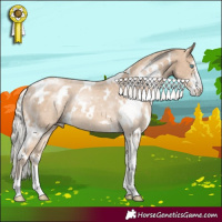 Horse Color:White Spotted Silver Perlino Sabino 