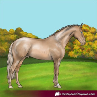 Horse Color:Chocolate Palomino Pearl Sabino Rabicano 
