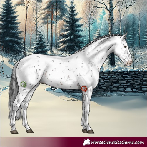 Horse Color:Brown Sabino 