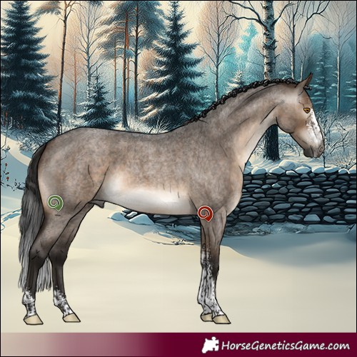 Horse Color:Gray Brown Roan Dun Mushroom Sabino Brindle 