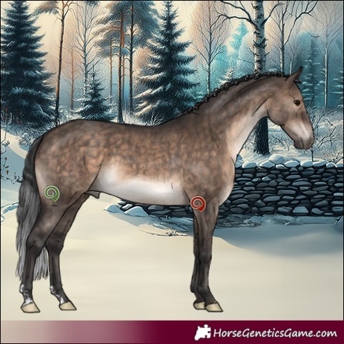 Horse Color:Brown Dun Sabino Rabicano Brindle 