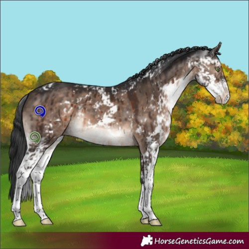 Horse Color:Brown Dun Mushroom Sabino Brindle 