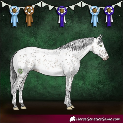 Horse Color:Brown Dun Mushroom Sabino Brindle