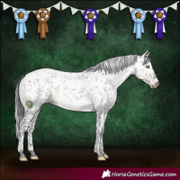 Horse Color:Brown Dun Mushroom Sabino Brindle 