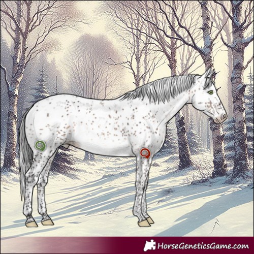 Horse Color:Brown Dun Mushroom Sabino Brindle 