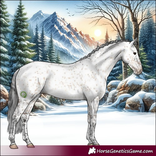 Horse Color:Brown Dun Sabino 