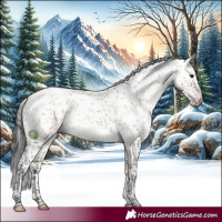 Horse Color:Brown Dun Sabino