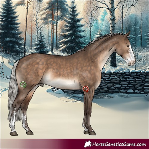 Horse Color:Silver Brown Dun Sabino 