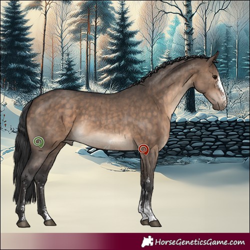 Horse Color:Brown Dun Sabino Brindle 