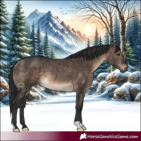 Horse Color:Brown Dun Rabicano Brindle