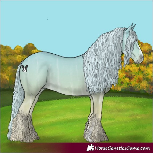 Horse Color:Palomino Chinchilla Ice Sabino Rabicano 