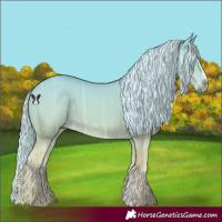 Horse Color:Palomino Chinchilla Ice Sabino Rabicano