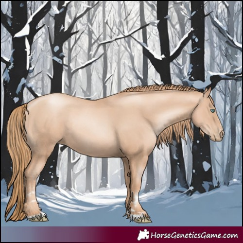 Horse Color:Gold Champagne Pearl Rabicano and Gold Champagne Pearl Rabicano