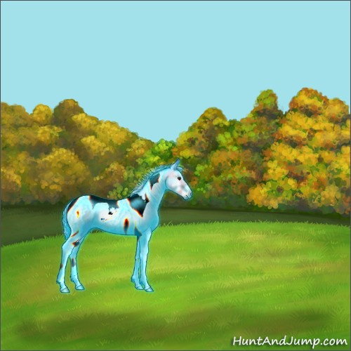 Horse Color:Thunderstruck Watercolor Red Onyx Tobiano 