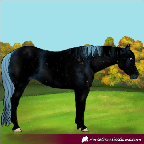 Horse Color:ERROR: UNKNOWN ANOMALY