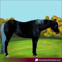 Horse Color:ERROR: UNKNOWN ANOMALY