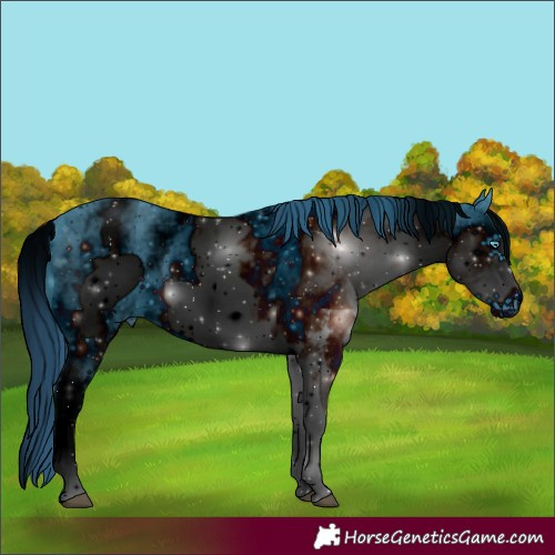 Horse Color:ERROR: UNKNOWN ANOMALY