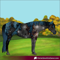 Horse Color:ERROR: UNKNOWN ANOMALY