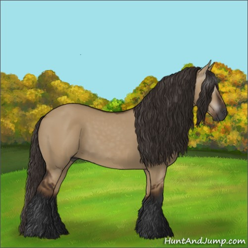Horse Color:Gray Liver Red Dun 