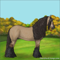 Horse Color:Gray Liver Red Dun 