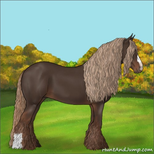 Horse Color:Unknown 
