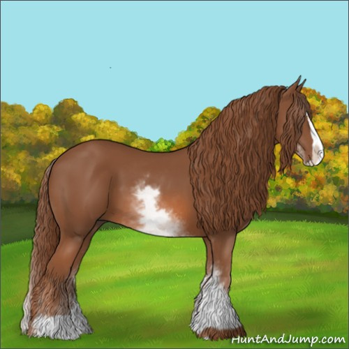 Horse Color:Unknown 