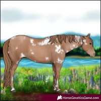 Horse Color:White Spotted Black Pearl 