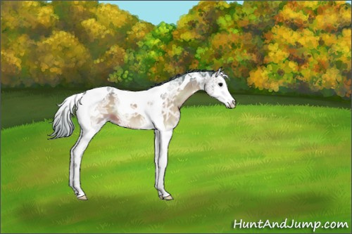Horse Color:Watercolor Chocolate Brown Ice Onyx Splash Tobiano 
