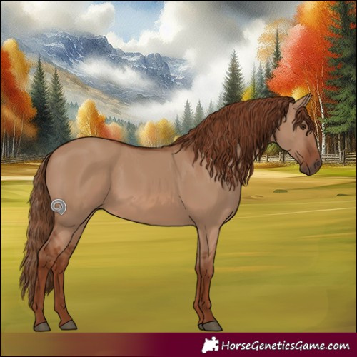 Horse Color:Red Dun Rabicano 