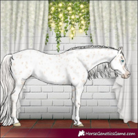 Horse Color:Gold Cream Champagne Pearl Appaloosa Rabicano 
