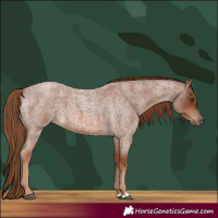 Horse Color:Red Roan 