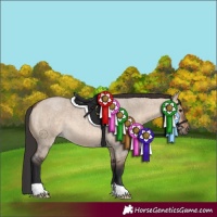 Horse Color:Brown Roan Dun 