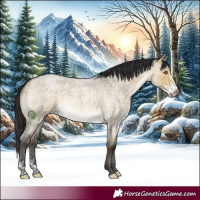 Horse Color:Buckskin Roan Dun Sabino Brindle
