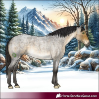 Horse Color:Buckskin Roan 
