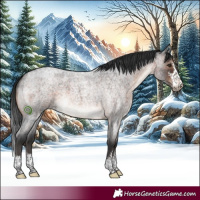Horse Color:Brown Roan Sabino 
