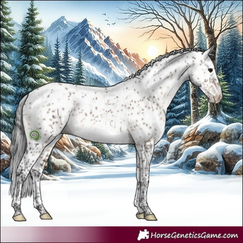 Horse Color:Brown Dun Sabino Brindle