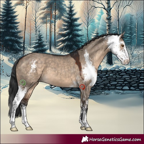 Horse Color:Brown Dun Sabino 