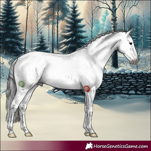 Horse Color:Gray Brown Dun Sabino 