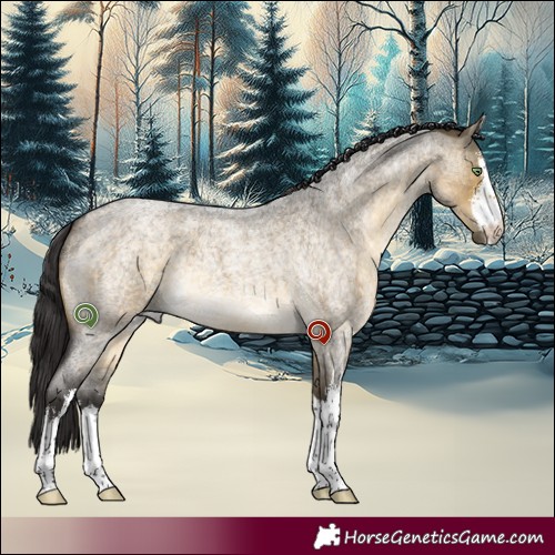 Horse Color:White Spotted Buckskin Roan Dun 