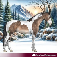 Horse Color:Brown Dun Sabino Tobiano
