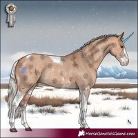 Horse Color:Silver Bay Ice Dun Sabino Tobiano Rabicano