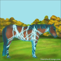 Horse Color:Thunderstruck Bay Roan 