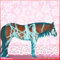 Horse Color:Thunderstruck Bay
