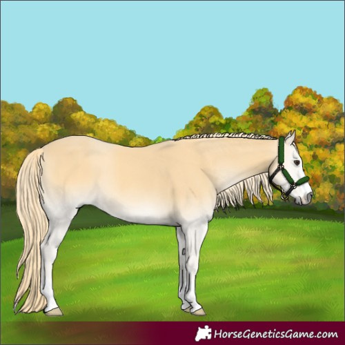 Horse Color:Red Onyx Mushroom 