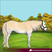 Horse Color:Red Onyx Mushroom 