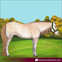 Horse Color:Bay Pearl Onyx Mushroom