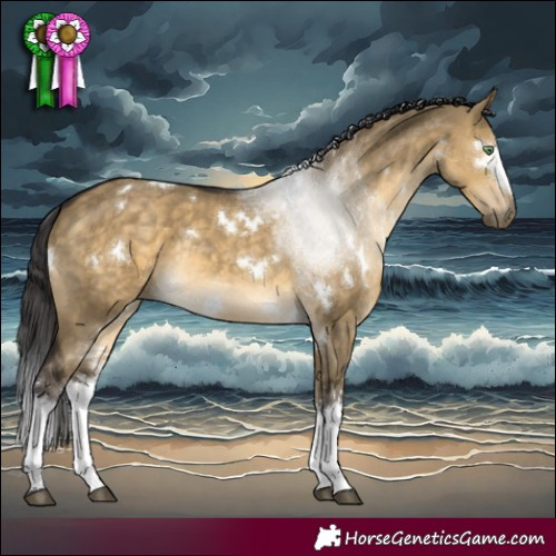 Horse Color:White Spotted Buckskin Dun Rabicano