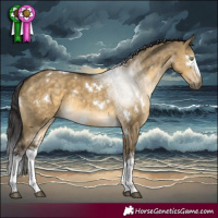 Horse Color:White Spotted Buckskin Dun Rabicano 