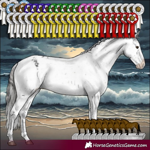 Horse Color:White Spotted Black Sabino Appaloosa and Brown Sabino Appaloosa Rabicano